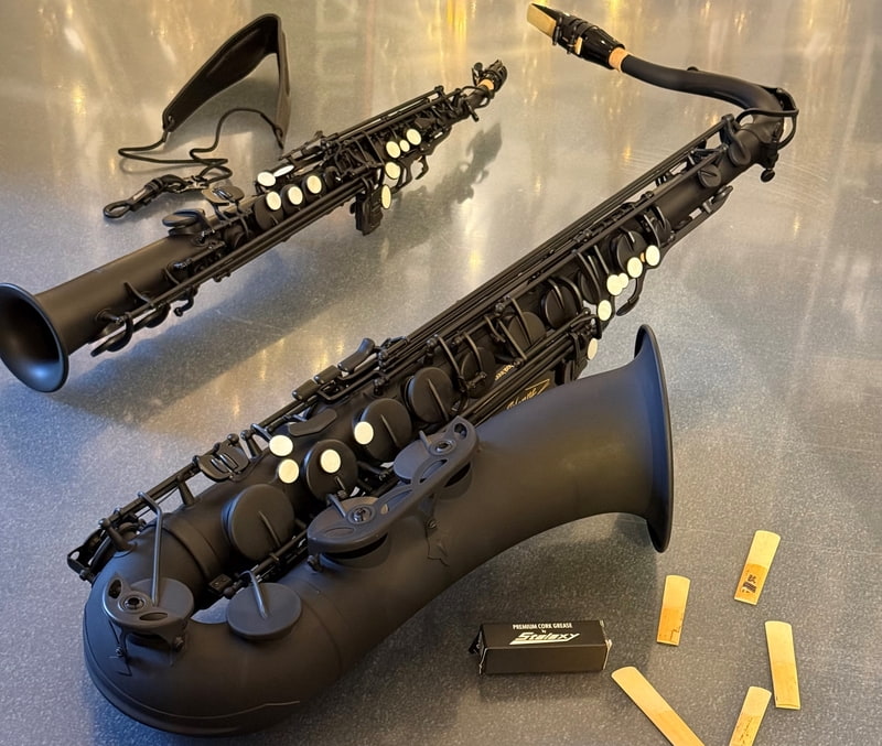 Stalaxy Saxophone | Musikinstrumente Danner Stalaxy Saxophone